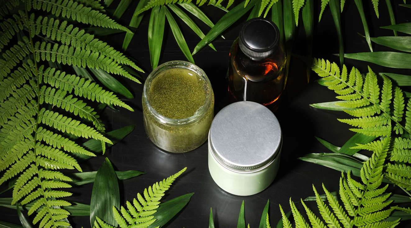 Fern leaves background with skincare products